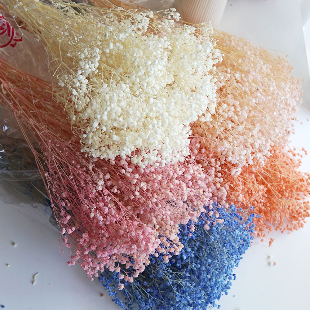 Home Office Bleaching - 50 g/buntes, natürlich konserviertes, getrocknetes Babysbreath