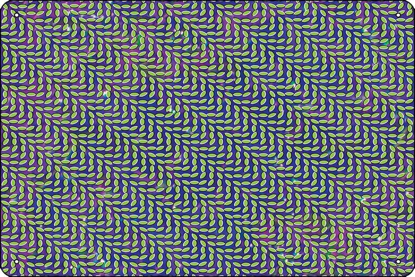 Animal Collective - Merriweath – Home Office X Post Bewertung und Preis